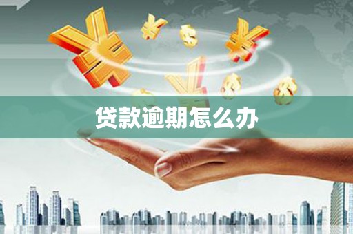 昔阳贷款逾期怎么办