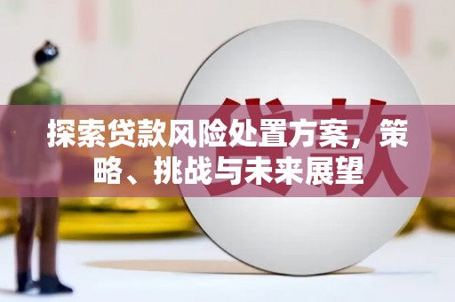 昔阳探索贷款风险处置方案，策略、挑战与未来展望