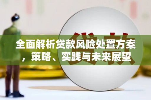 昔阳全面解析贷款风险处置方案，策略、实践与未来展望