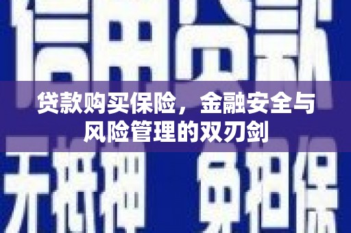 昔阳贷款购买保险，金融安全与风险管理的双刃剑