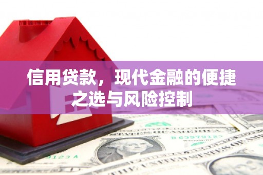 昔阳信用贷款，现代金融的便捷之选与风险控制