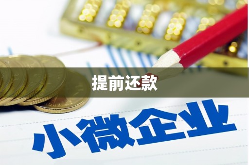 昔阳提前还款