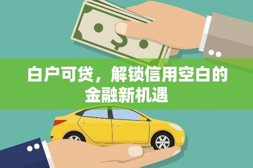 昔阳白户可贷，解锁信用空白的金融新机遇