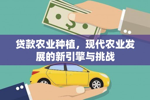 昔阳贷款农业种植，现代农业发展的新引擎与挑战