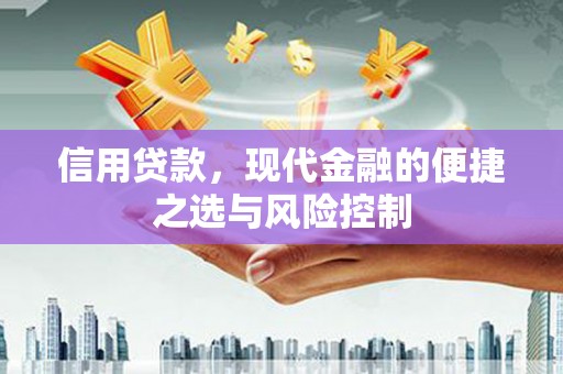 昔阳信用贷款，现代金融的便捷之选与风险控制