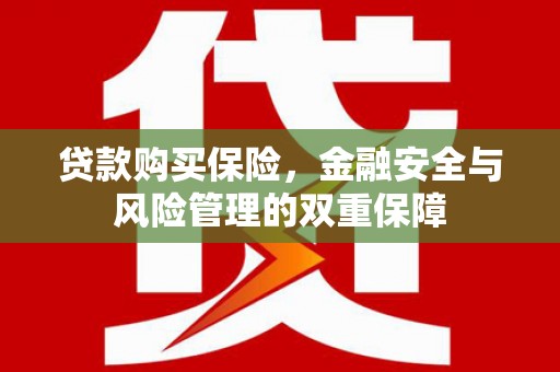 昔阳贷款购买保险，金融安全与风险管理的双重保障