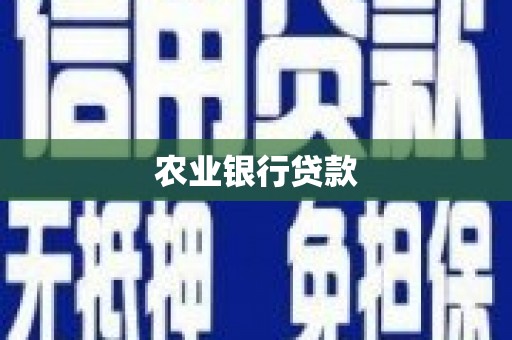 昔阳农业银行贷款