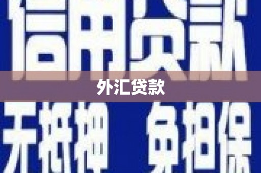 昔阳外汇贷款