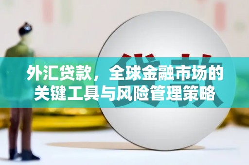 昔阳外汇贷款，全球金融市场的关键工具与风险管理策略