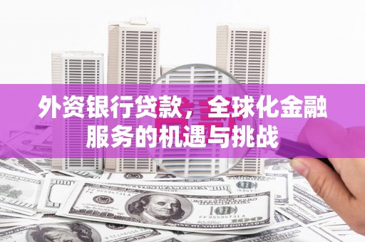 昔阳外资银行贷款，全球化金融服务的机遇与挑战