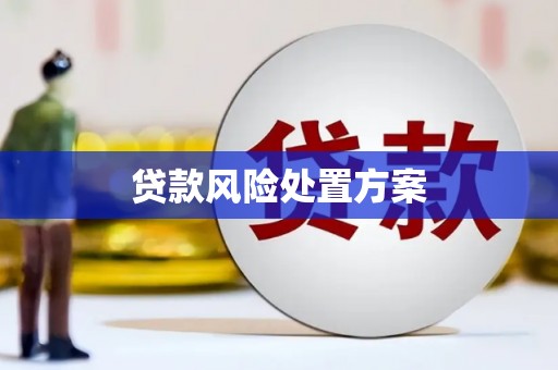 昔阳贷款风险处置方案
