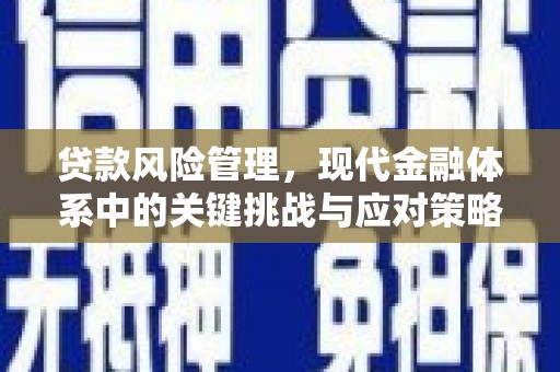昔阳贷款风险管理，现代金融体系中的关键挑战与应对策略