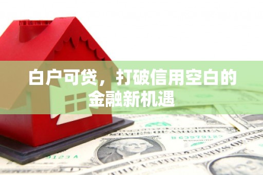 昔阳白户可贷，打破信用空白的金融新机遇