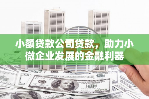 昔阳小额贷款公司贷款，助力小微企业发展的金融利器