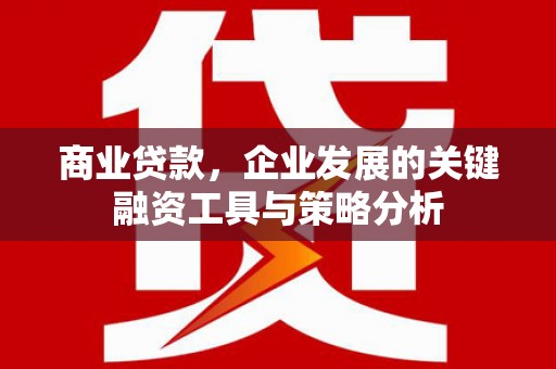 昔阳商业贷款，企业发展的关键融资工具与策略分析