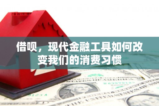 昔阳借呗，现代金融工具如何改变我们的消费习惯