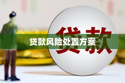 昔阳贷款风险处置方案