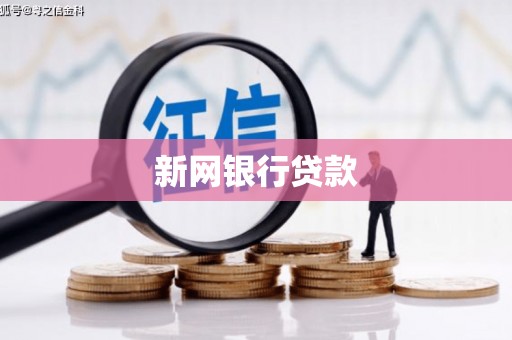 昔阳新网银行贷款