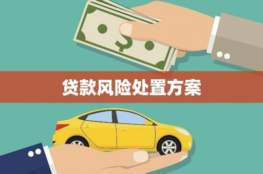 昔阳贷款风险处置方案