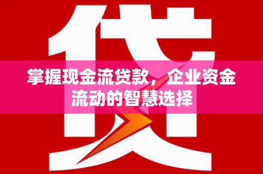 昔阳掌握现金流贷款，企业资金流动的智慧选择