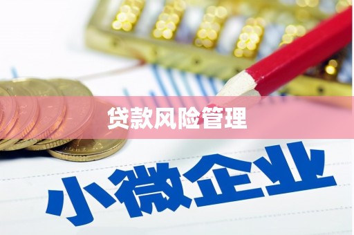昔阳贷款风险管理