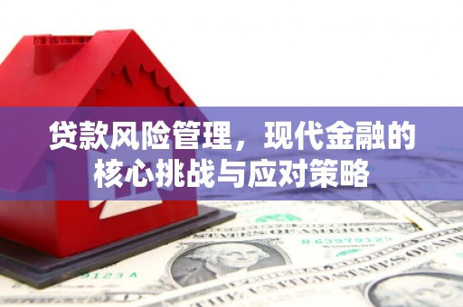 昔阳贷款风险管理，现代金融的核心挑战与应对策略