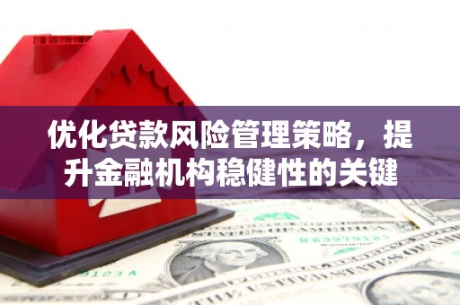 昔阳优化贷款风险管理策略，提升金融机构稳健性的关键