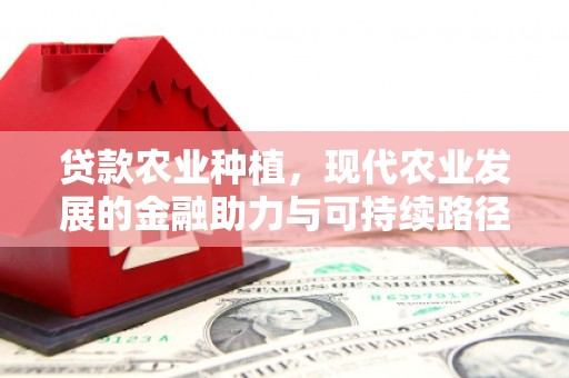 昔阳贷款农业种植，现代农业发展的金融助力与可持续路径