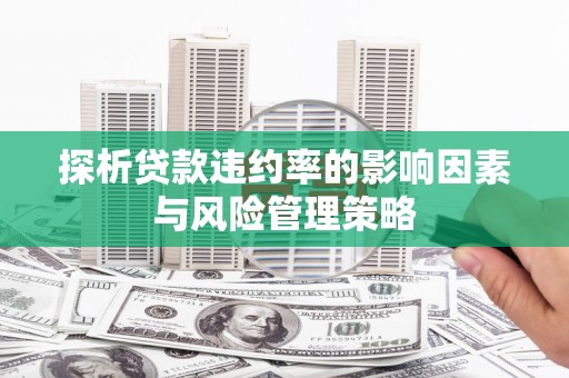 昔阳探析贷款违约率的影响因素与风险管理策略
