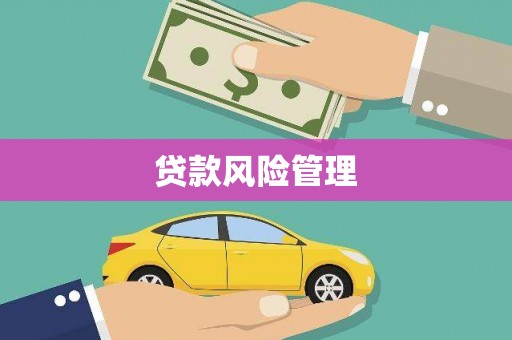 昔阳贷款风险管理