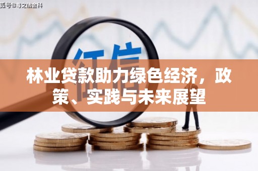 昔阳林业贷款助力绿色经济，政策、实践与未来展望