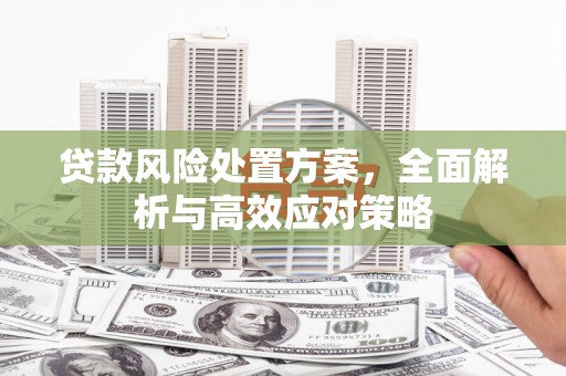 昔阳贷款风险处置方案，全面解析与高效应对策略