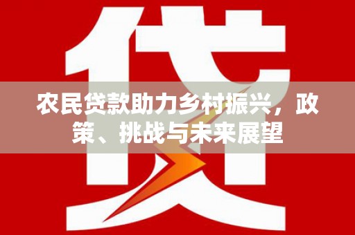 昔阳农民贷款助力乡村振兴，政策、挑战与未来展望