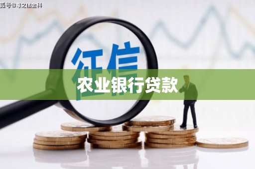 昔阳农业银行贷款