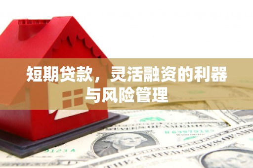 昔阳短期贷款，灵活融资的利器与风险管理