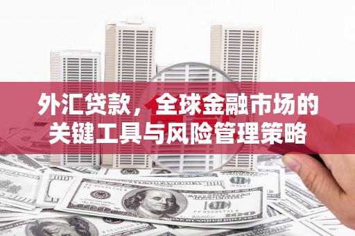 昔阳外汇贷款，全球金融市场的关键工具与风险管理策略