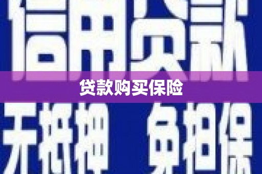 昔阳贷款购买保险