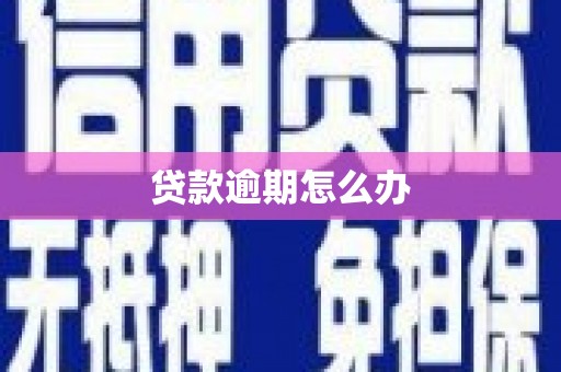 昔阳贷款逾期怎么办