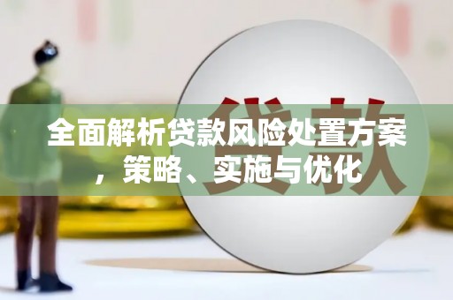 昔阳全面解析贷款风险处置方案，策略、实施与优化