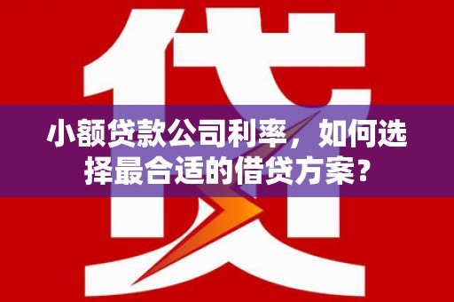 昔阳小额贷款公司利率，如何选择最合适的借贷方案？