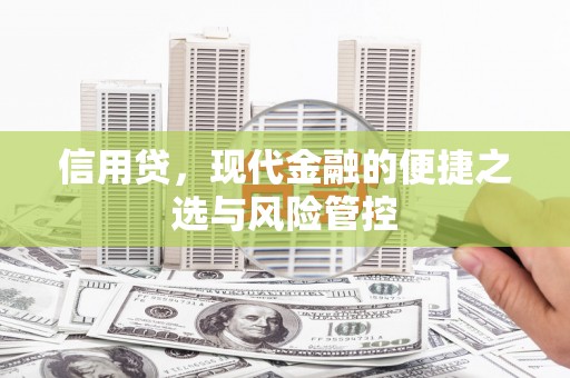 昔阳信用贷，现代金融的便捷之选与风险管控