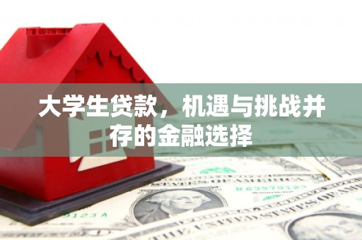昔阳大学生贷款，机遇与挑战并存的金融选择